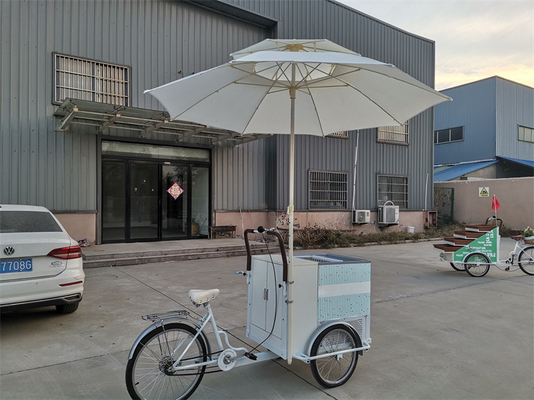 220V/380V напряженный велосипедный прицеп для продажи мороженого и свежих фруктов
