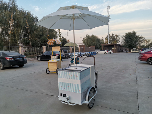 220V/380V напряженный велосипедный прицеп для продажи мороженого и свежих фруктов