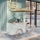 Прокатывающие деликатесы Глобальный кулинарный опыт под рукой Подвигайте трехколесные тележки с едой