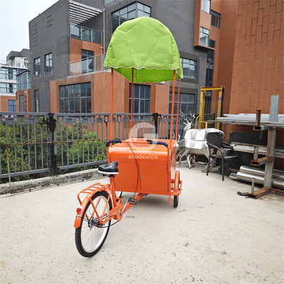 Europe Street Cargo Bike Мобильная торговая тележка с кофейным хранилищем Электрический трехколесный велосипед