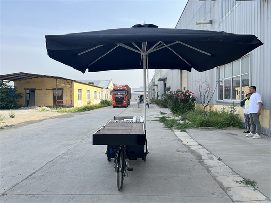 220V/110V Трёхколесная тележка OEM Кофе Свертываемая улица Трицикл вафля крепе грузовой велосипед